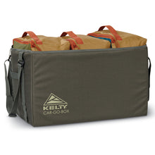 Kelty Car-Go-Box Beluga Dull Gold — overview with pods