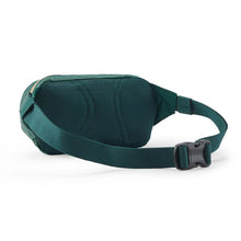 Patagonia Terravia Mini Hip Pack 1L